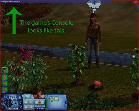 sims 3 enable cheats